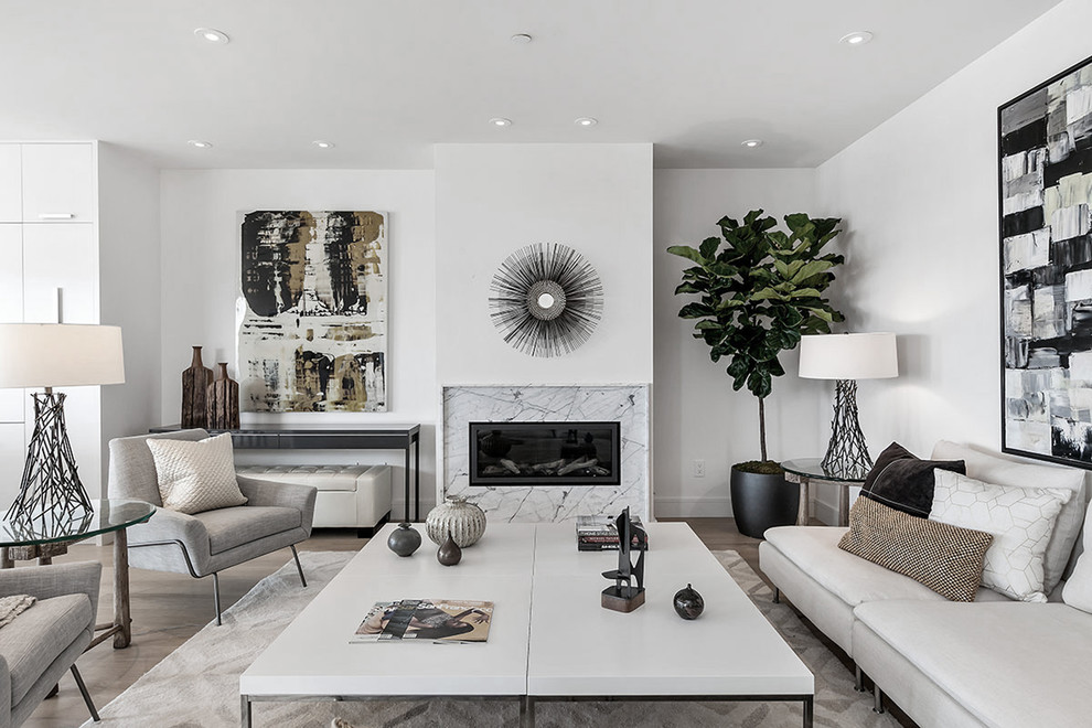 Mittelgroßes, Fernseherloses, Offenes Modernes Wohnzimmer mit weißer Wandfarbe, hellem Holzboden, Gaskamin und Kaminumrandung aus Stein in San Francisco