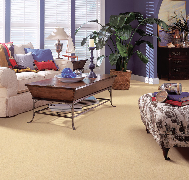 Pretty Pops of Color Transitional Living Room Miami by Brian