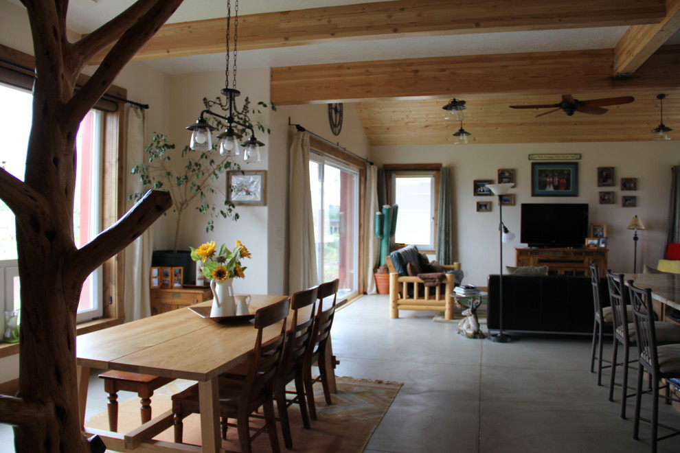 Exemple d'un salon nature de taille moyenne et ouvert avec un mur blanc, sol en béton ciré, un poêle à bois, un manteau de cheminée en pierre et un téléviseur indépendant.