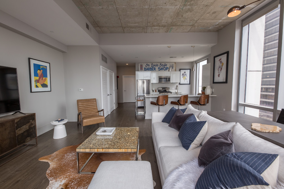 Kleines Industrial Wohnzimmer im Loft-Stil mit grauer Wandfarbe, Laminat und freistehendem TV in St. Louis