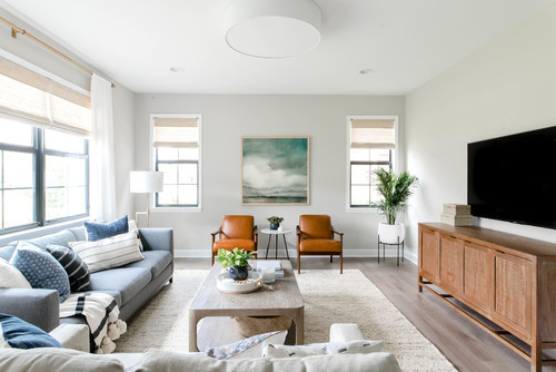 Agreeable Gray v Repose Gray Paint: Everything You Need to Know