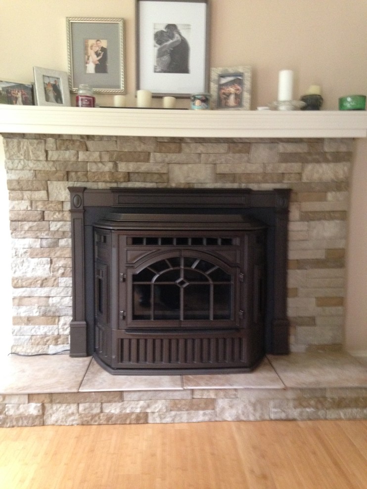 QuadraFireMt Vernon Sienna Bronze Insert Contemporary Living Room