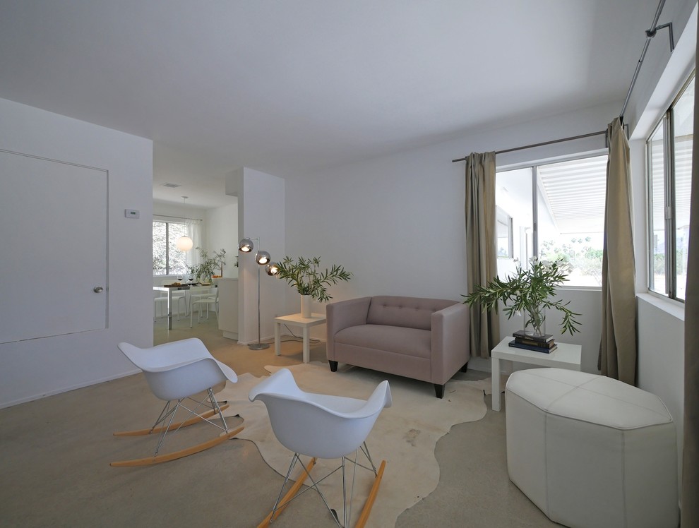 Idee per un piccolo soggiorno minimalista con pareti bianche, pavimento in cemento e nessun camino