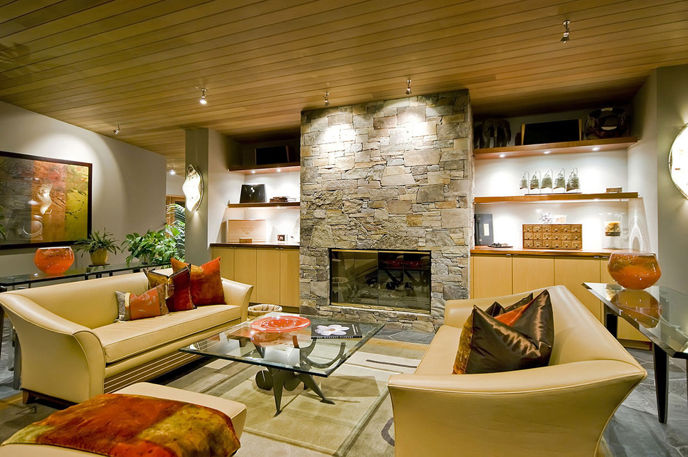 Cette image montre un salon design avec un manteau de cheminée en pierre.