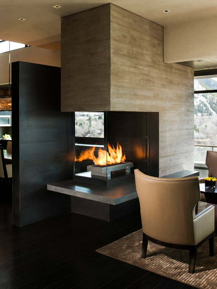 Design ideas for a contemporary living room in Denver with a two-sided fireplace.