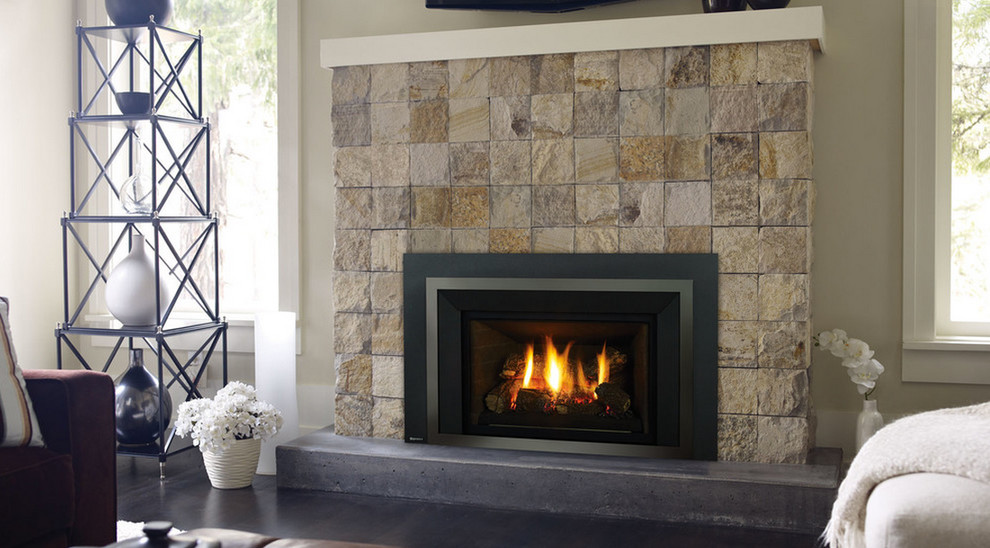 Regency Gas Fireplace Inserts Living Room San Francisco by West