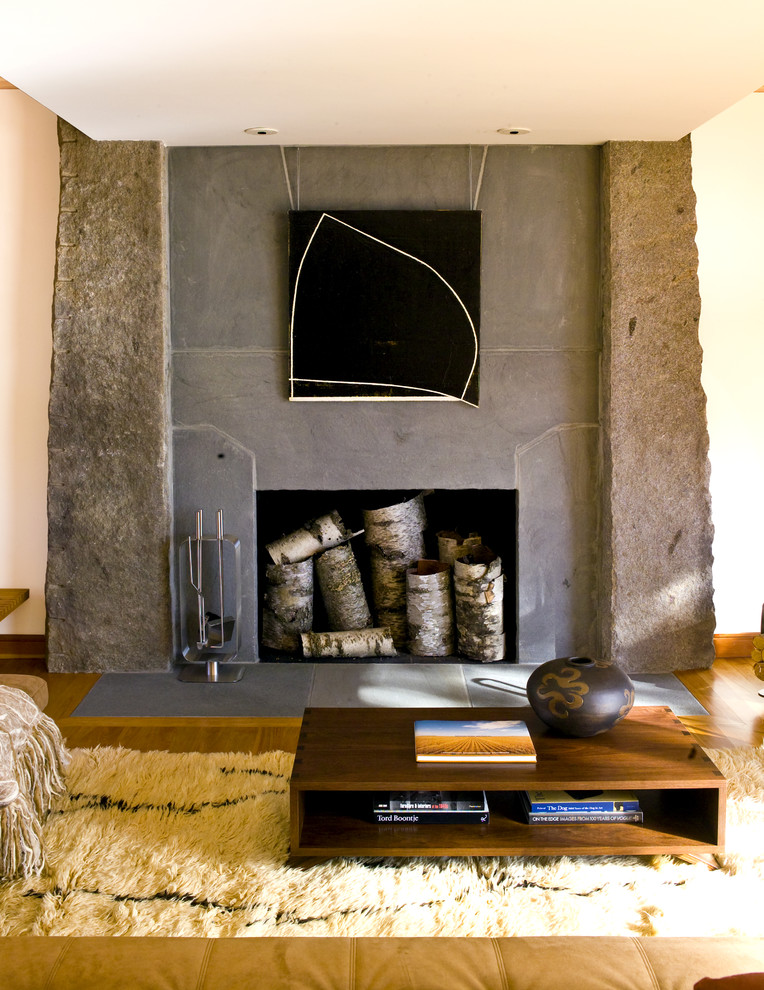 Idée de décoration pour un salon design avec une cheminée standard et éclairage.