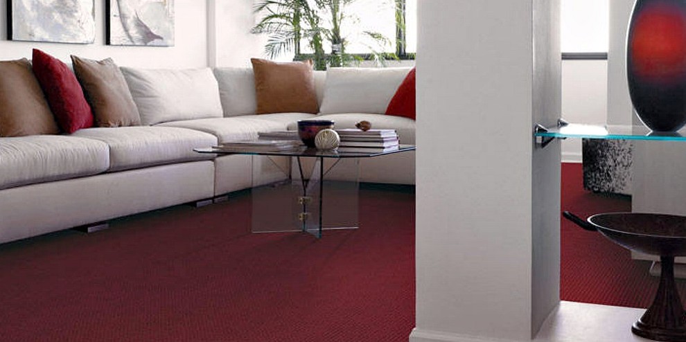 Mittelgroßes, Abgetrenntes Modernes Wohnzimmer mit Teppichboden, beiger Wandfarbe und rotem Boden in New York
