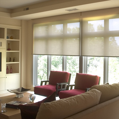 blinds for the living room