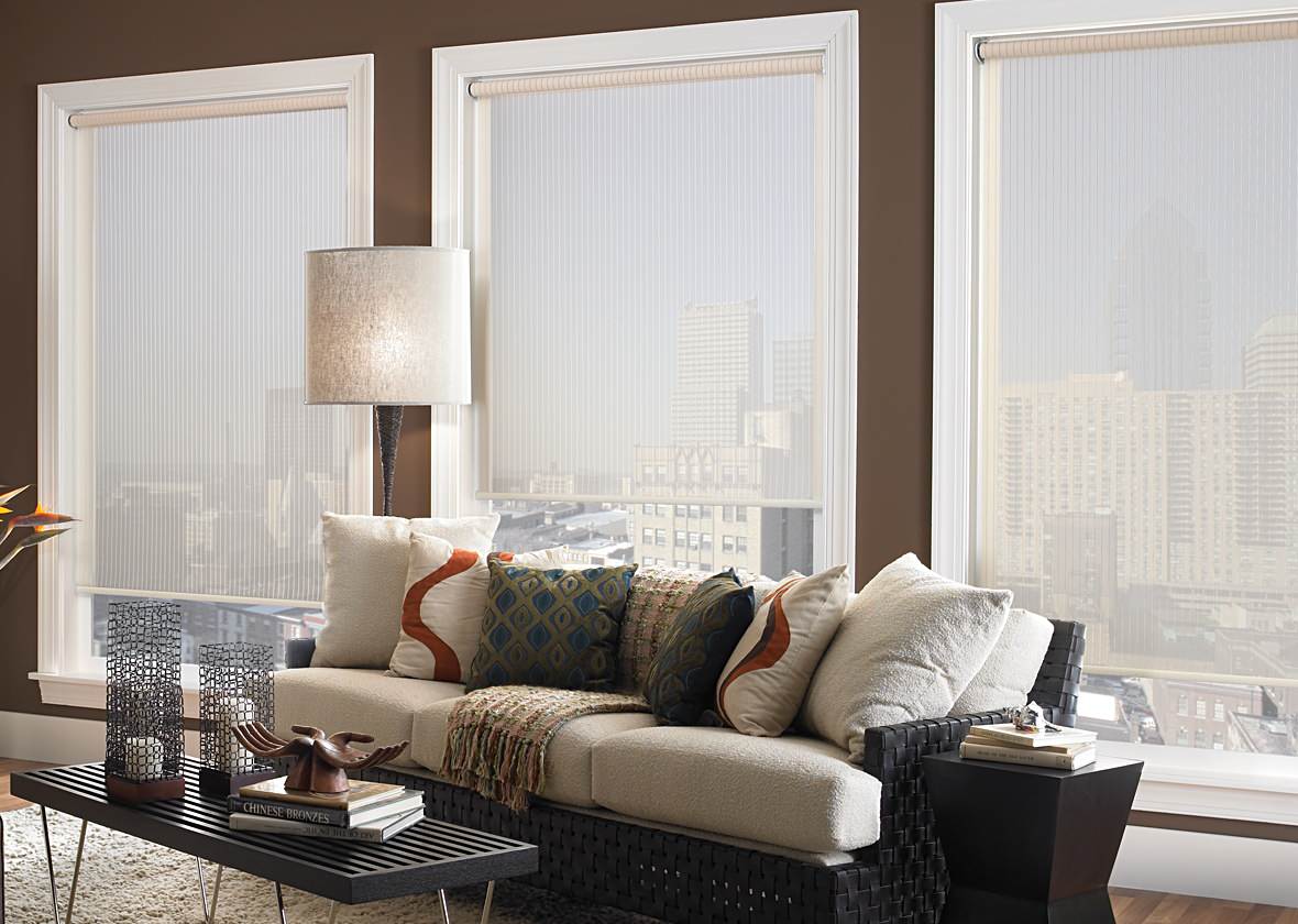 Roller Shade Samples - Contemporary - Living Room - Los Angeles - by Luxury  Window Fashions | Houzz