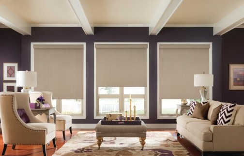 Mittelgroßes, Fernseherloses, Abgetrenntes Modernes Wohnzimmer ohne Kamin mit lila Wandfarbe, braunem Holzboden und braunem Boden in Sonstige