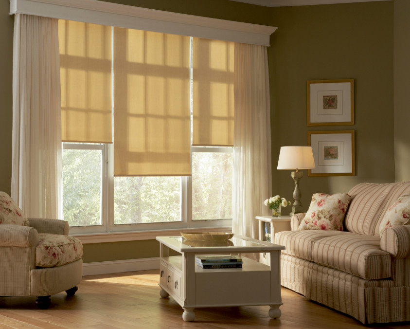 Roller Shades Living Room Nashville by Nashville Blinds