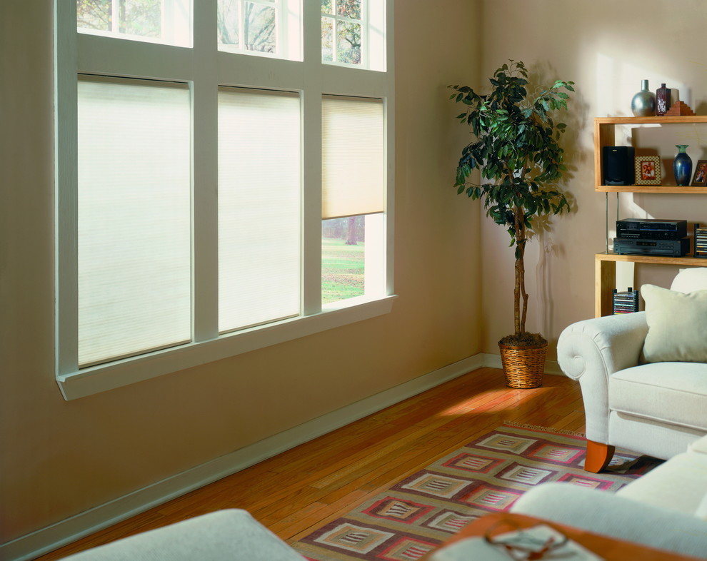 Roller Shades Modern Living Room Vancouver by Wholesale Blind