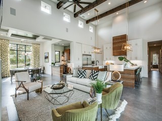 Roman Holiday - Contemporary - Living Room - Houston - by Pink Door ...