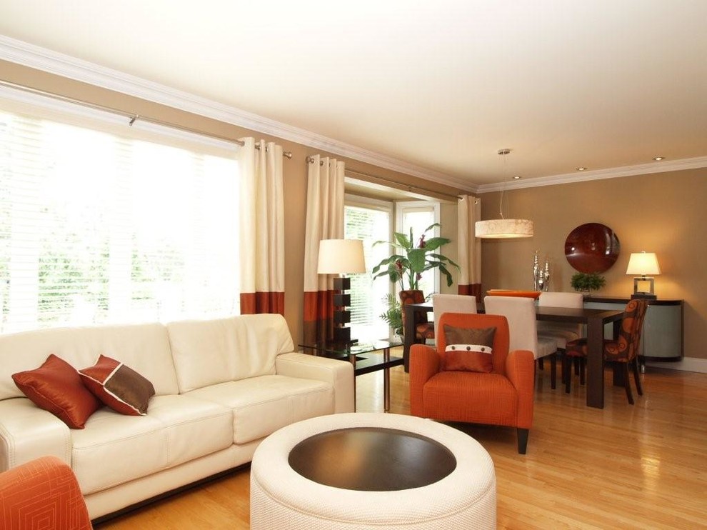 Cette image montre un salon design avec un mur marron et un sol en bois brun.