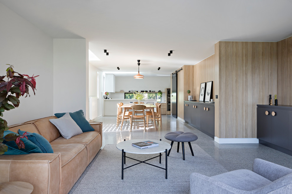 Ispirazione per un soggiorno design di medie dimensioni e aperto con pareti multicolore e pavimento in cemento