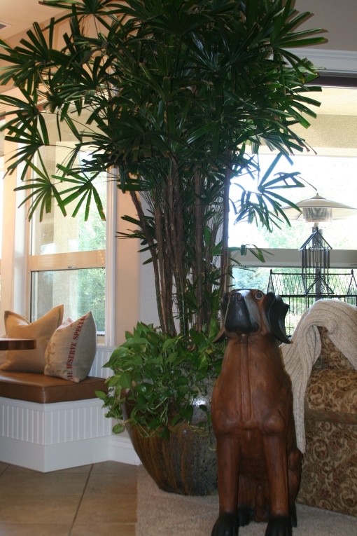 Rustic Planter in the Living Room Rustic Living Room Boise by