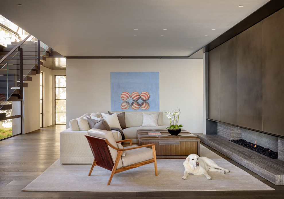 Modernes Wohnzimmer mit weißer Wandfarbe, dunklem Holzboden und braunem Boden in San Diego