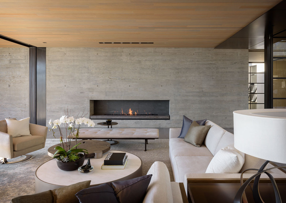 This is an example of a modern living room in San Diego with a ribbon fireplace and a concrete fireplace surround.