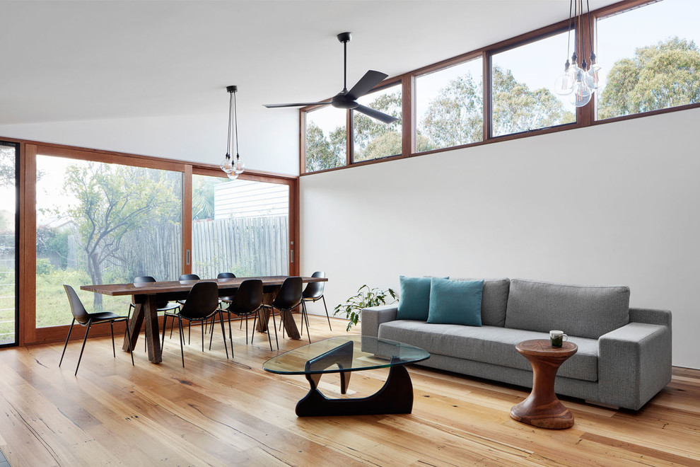 Photo of a medium sized contemporary open plan living room in Melbourne with white walls and light hardwood flooring.