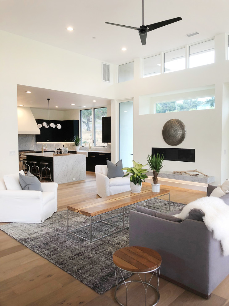 Photo of a contemporary living room in Santa Barbara.
