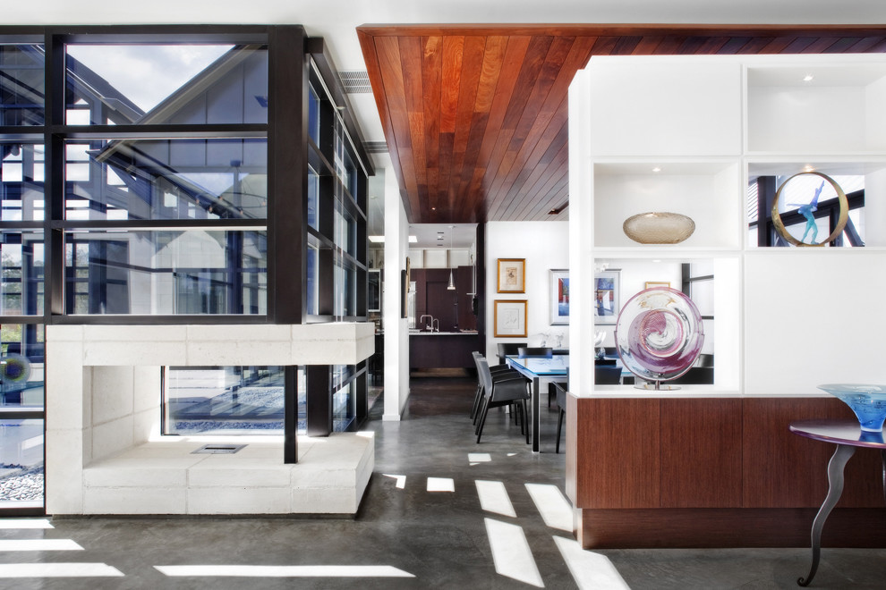 Источник вдохновения для домашнего уюта: гостиная комната в современном стиле с бетонным полом и угловым камином
