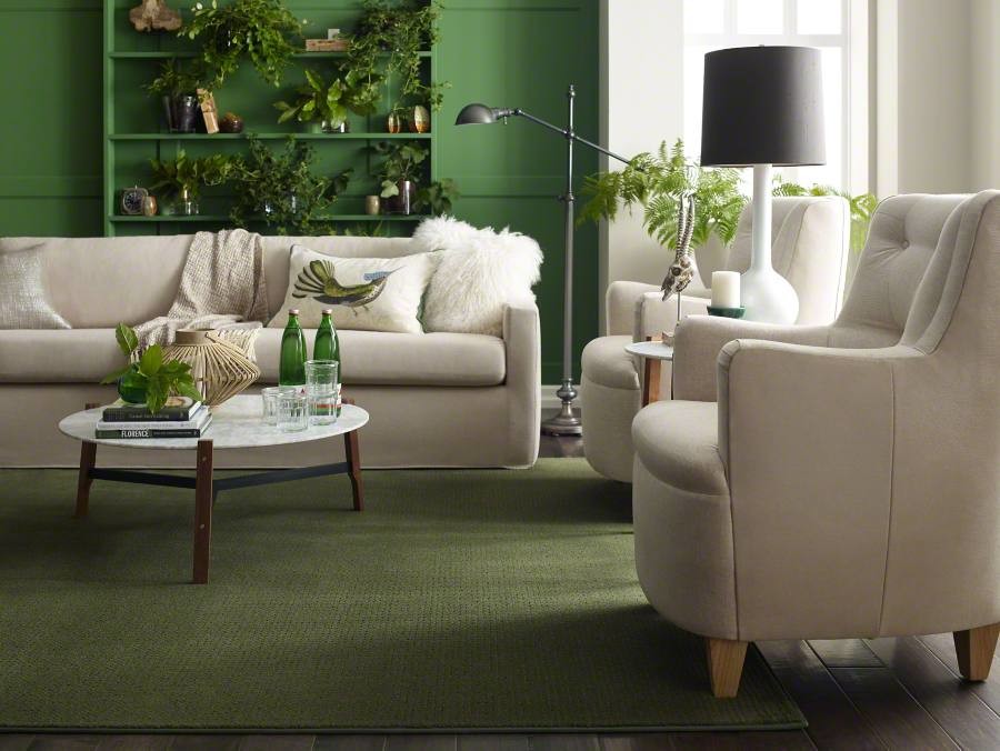 Idee per un soggiorno contemporaneo con pareti verdi e parquet scuro