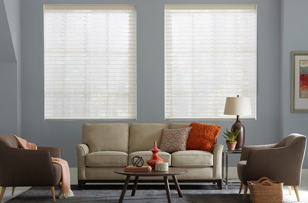 Sheer Window Shades Contemporary Living Room Houston by Blinds