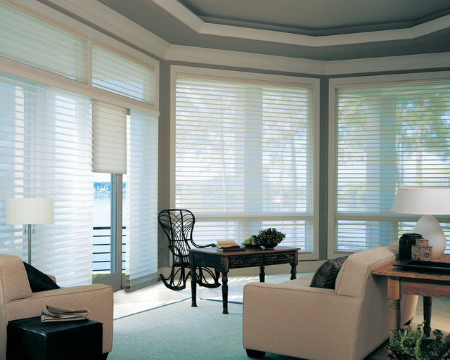 Sheer Window Shadings Eklektisch Wohnbereich Detroit von