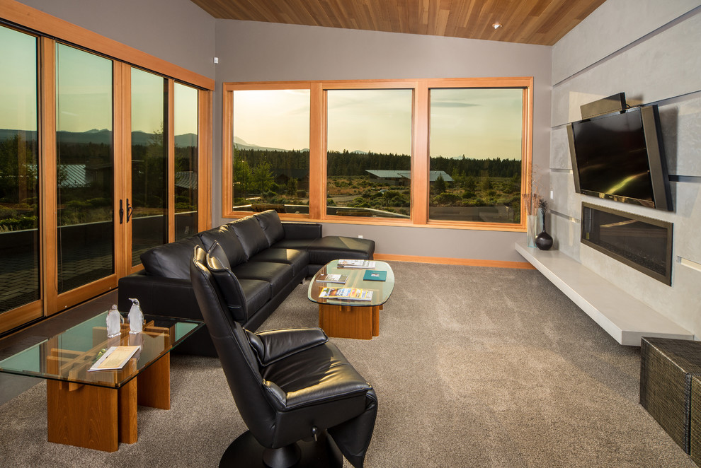 Shevlin Commons Contemporary Living Room Other by Sun Forest