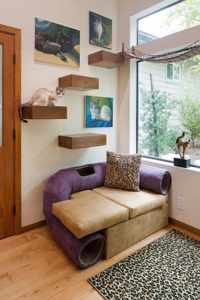 Mittelgroßes Eklektisches Wohnzimmer mit weißer Wandfarbe und hellem Holzboden in San Diego