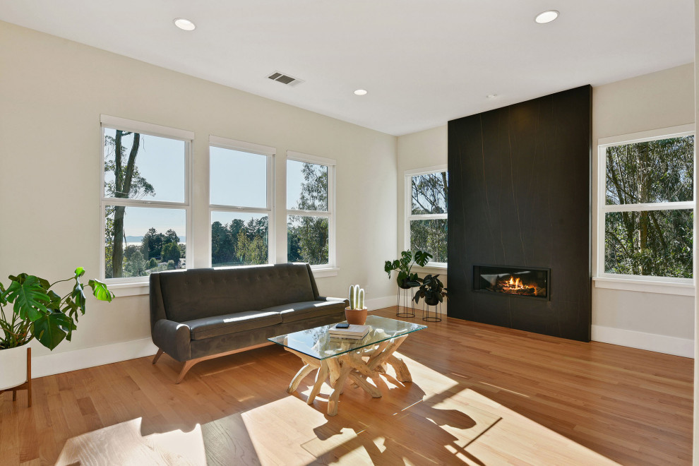 Design ideas for a modern living room in San Francisco with a ribbon fireplace and a stone fireplace surround.