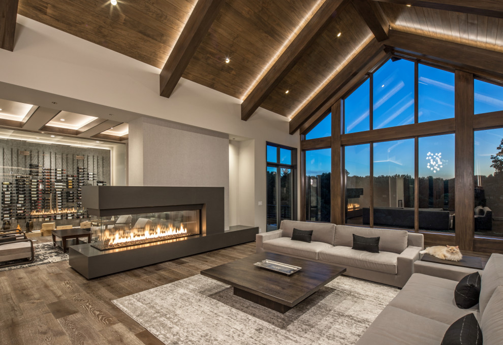 Skyline Warm Modern Omaha, NE Transitional Living Room Omaha