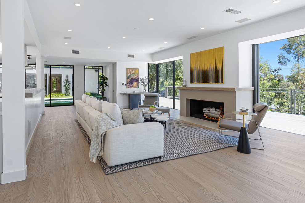 Repräsentatives Modernes Wohnzimmer mit weißer Wandfarbe, hellem Holzboden und Gaskamin in Los Angeles
