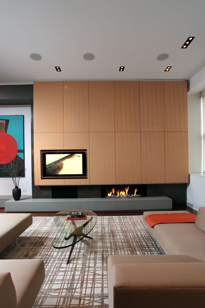 На фото: гостиная комната в современном стиле с горизонтальным камином, мультимедийным центром и ковром на полу