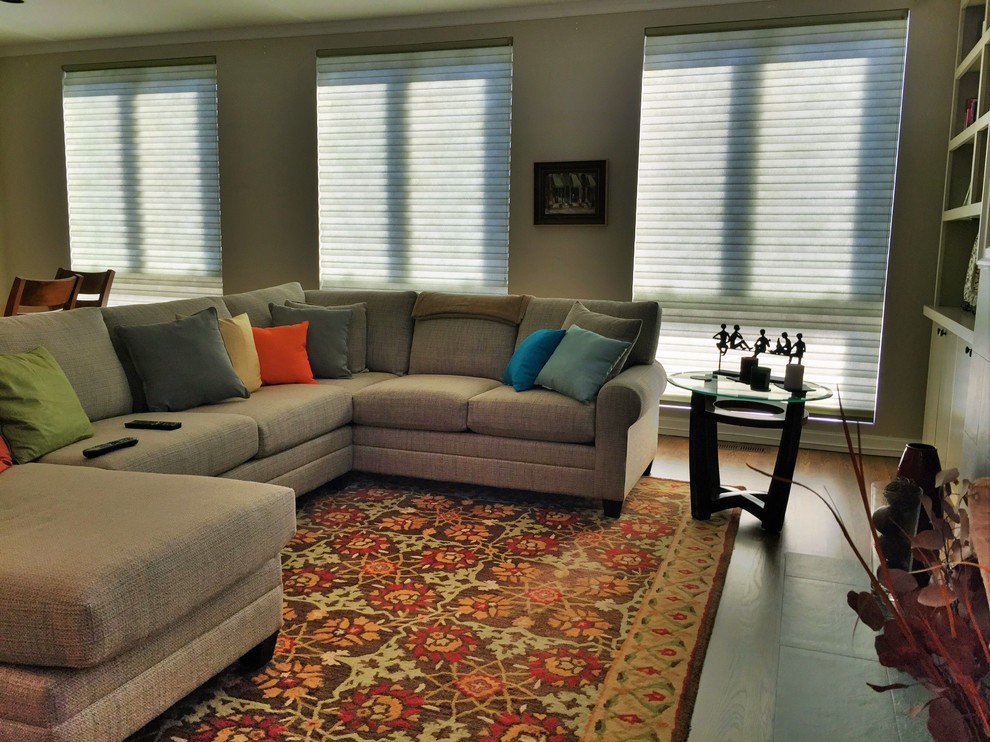 Solera Soft Shades by Hunter Douglas Transitional Living Room