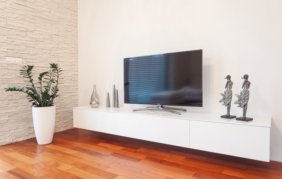 Modelo de salón minimalista con televisor independiente
