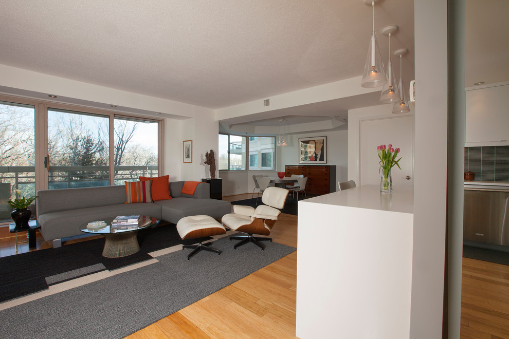 Mittelgroßes, Offenes Modernes Wohnzimmer mit weißer Wandfarbe und hellem Holzboden in Washington, D.C.