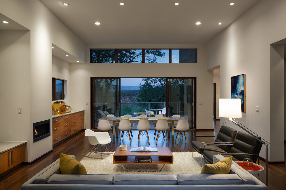 Großes Modernes Wohnzimmer mit weißer Wandfarbe, dunklem Holzboden und Gaskamin in San Francisco