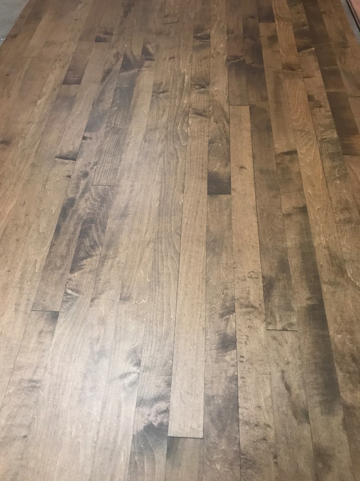 Stained Maple Finished With O S Oil Living Room Seattle By Ptl Hardwood Floors Llc Stained Maple Finished With O S Oil
