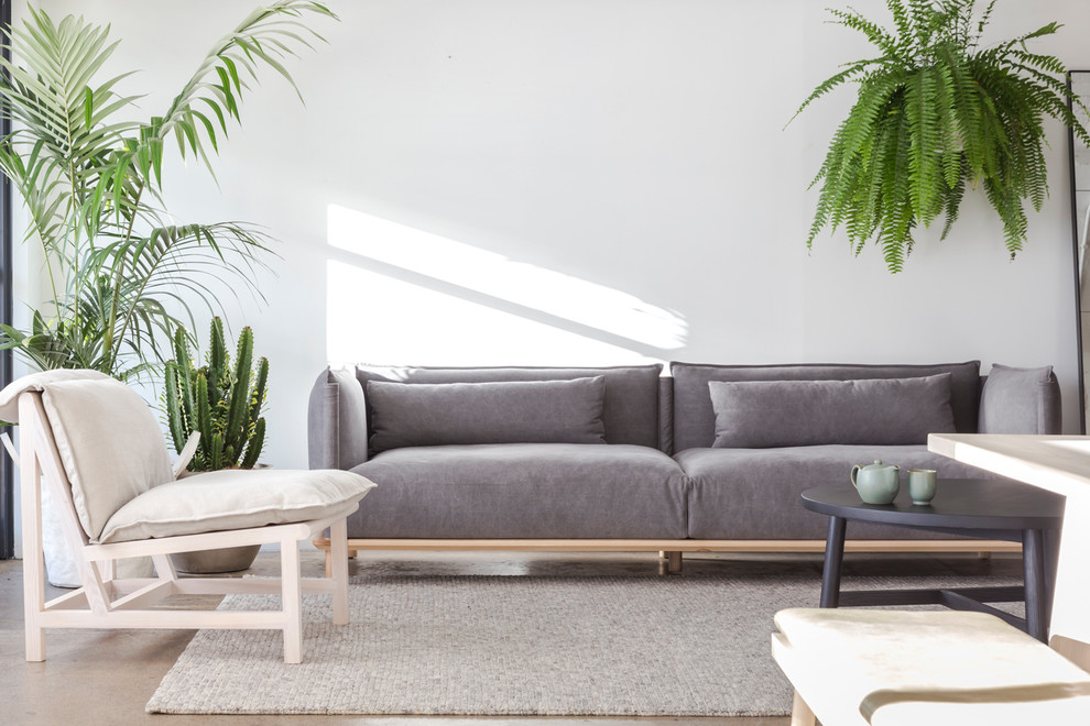 Ispirazione per un soggiorno design di medie dimensioni e aperto con pareti bianche e pavimento in cemento