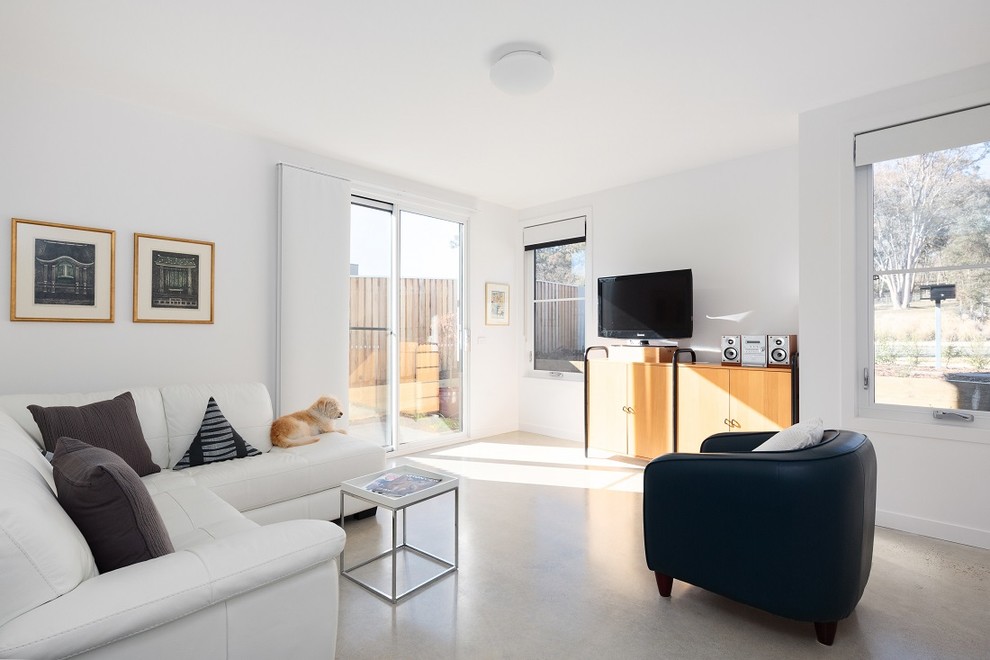 Idee per un soggiorno moderno con pareti bianche, pavimento in cemento e TV autoportante