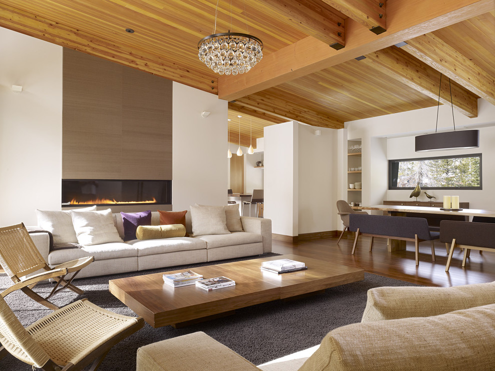 Идея дизайна: открытая гостиная комната в стиле ретро с горизонтальным камином и ковром на полу