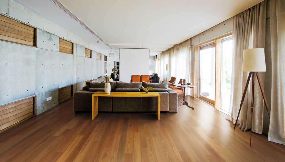 Diseño de salón para visitas abierto urbano de tamaño medio sin chimenea y televisor con paredes grises, suelo de madera en tonos medios y suelo naranja