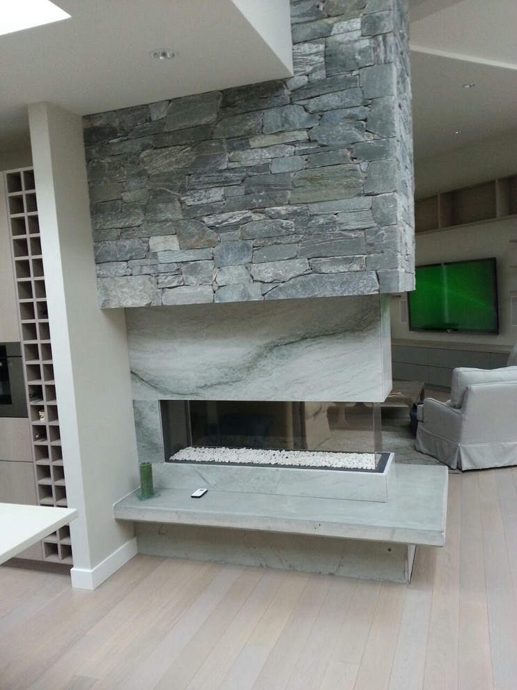 Surround for "SeeThru" Fireplace Contemporary Living Room