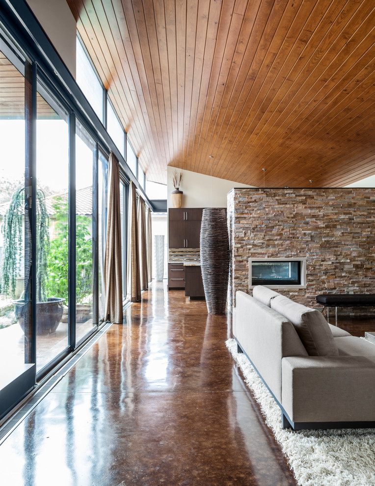 Пример оригинального дизайна: гостиная комната в современном стиле с бетонным полом, коричневым полом и ковром на полу
