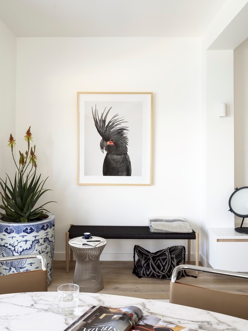 観葉植物を室内で元気に育てる8つのポイント Houzz ハウズ