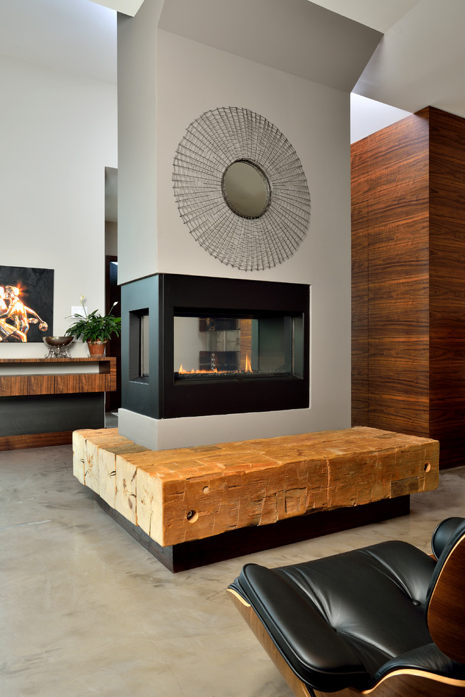 Contemporary living room in Toronto with a two-sided fireplace and a metal fireplace surround.
