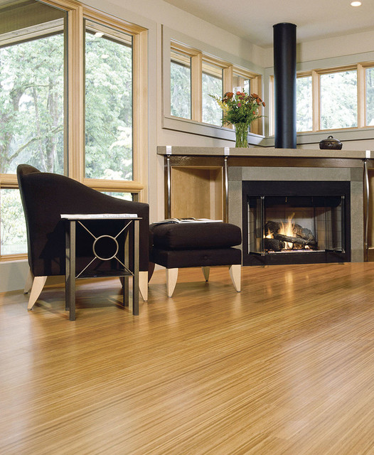 Teragren Bamboo Flooring Contemporary Living Room Chicago by