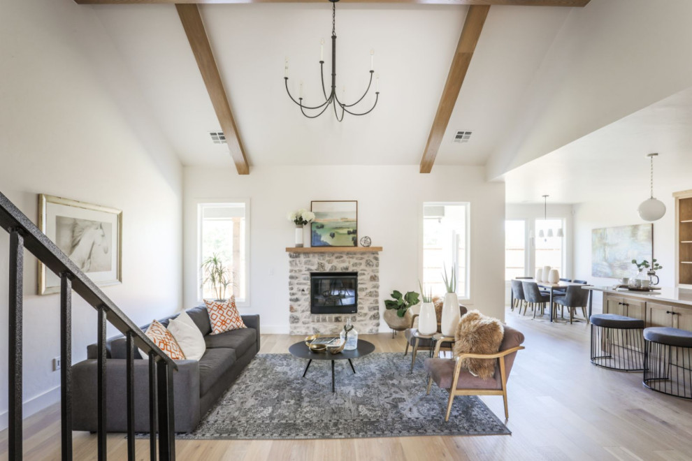 The Art Lover's House Transitional Living Room Oklahoma City by Kelsey Leigh Design Co